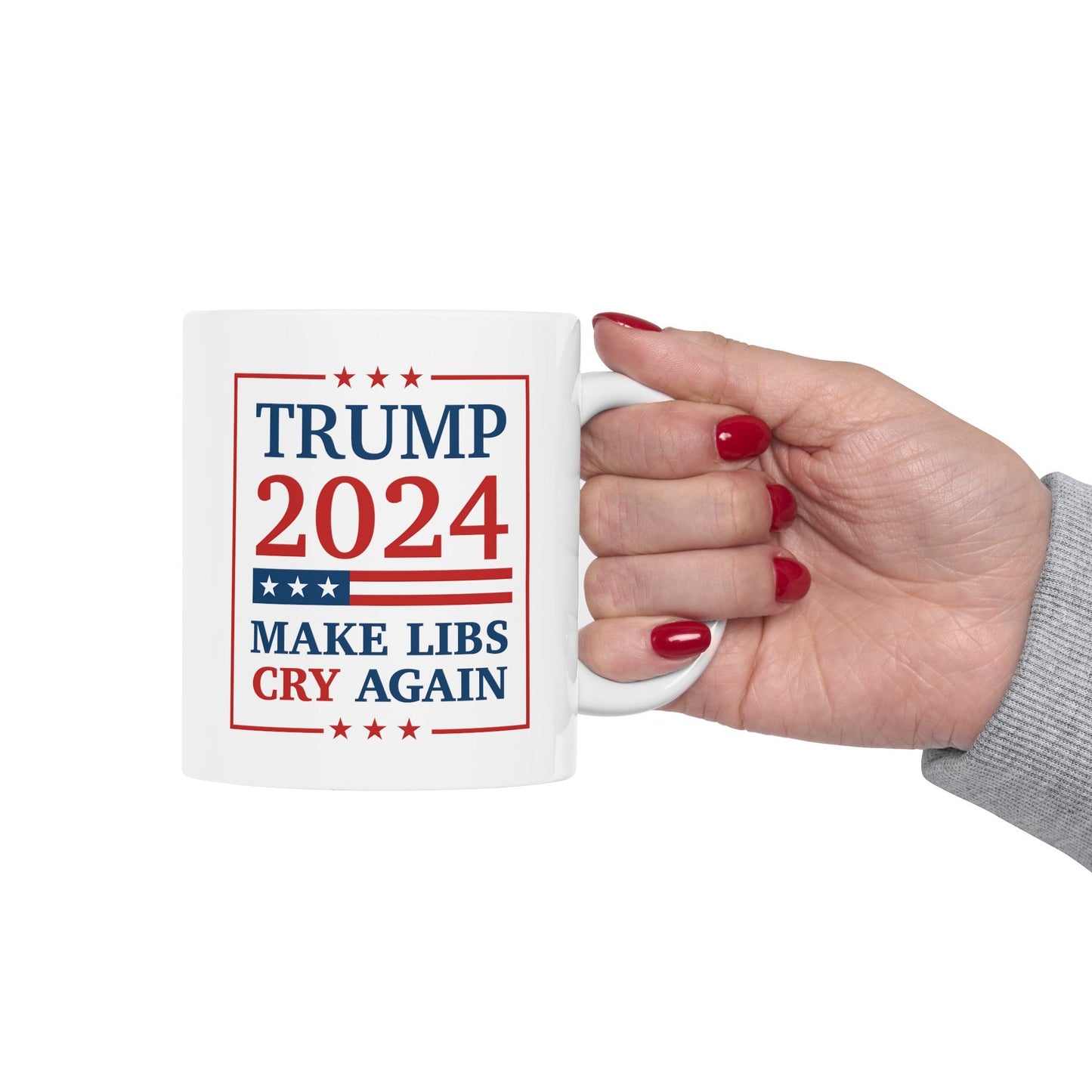 Make Libs Cry Again Mug