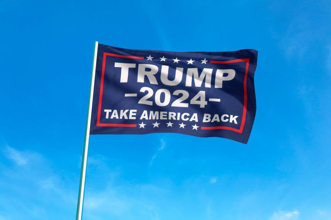 FREE Trump Take America Back Flag